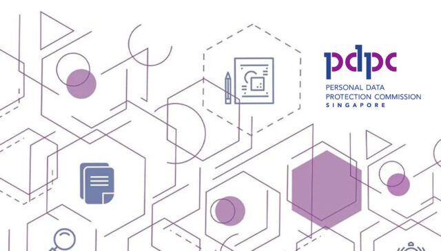 Geometric digital web design elements for a Singapore-based business.