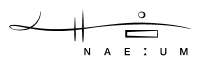 Simple modern logo design with abstract lines and the word NAEUM below.